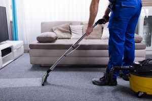 Cleaning Carpets Can Prevent Pests