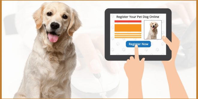 What happens if you don't register your cat